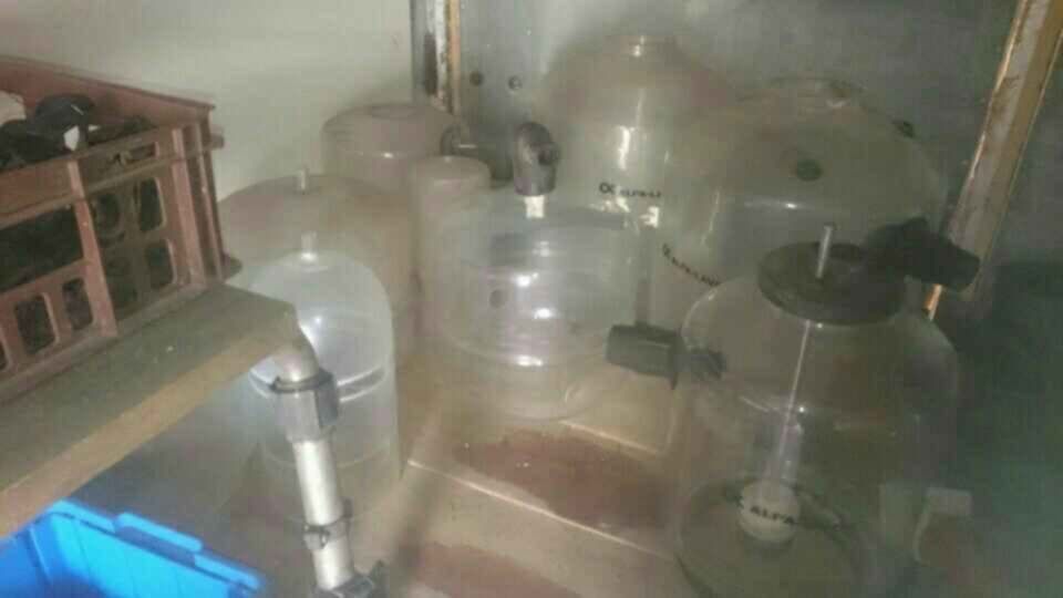 Szkło do dojarki Westfalia/Alfa Laval