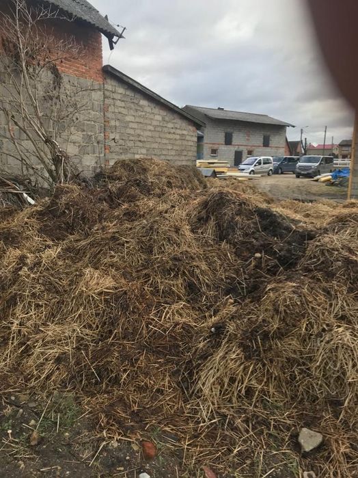 Obirnik koński zamienię na siano