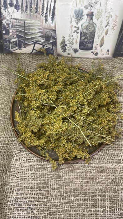 Підмаренник сушений, лікарські трави