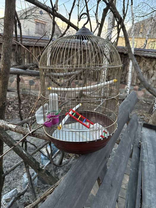 Клітка для пташок.