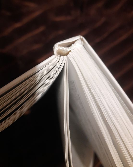 Алексей Геращенко, "Экономика ХХІ"