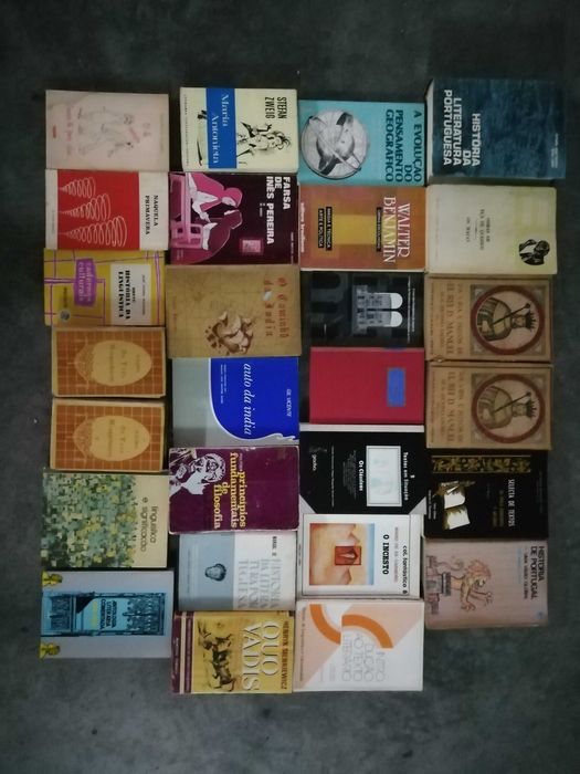 Livros diversos em bom estado