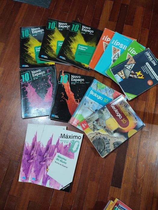 Manuais escolares para 10 ano