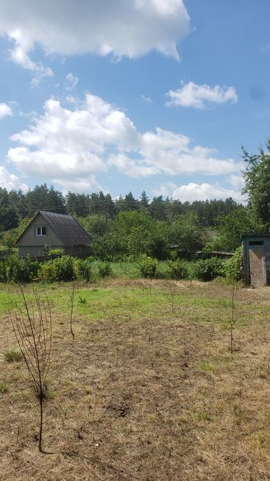 Дача в кооперативе сосновый бор