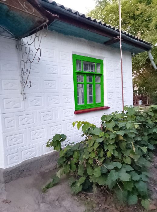 Приватний будинок на Київській