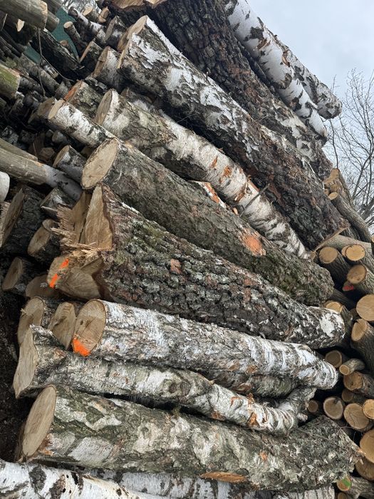 Drewno SUCHE kominkowe lub opałowe, owocowe do wedzenia. Sezonowane