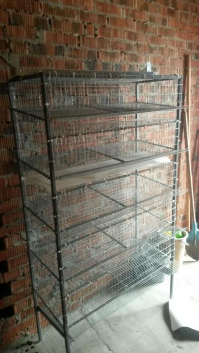 клетка для бройлеров перепелов.