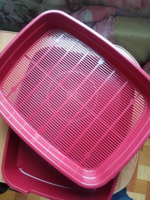 Туалет для кошки