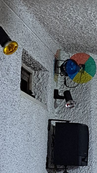 Selling various lamps, projectors, speaker column, and mixing console64729488845186121