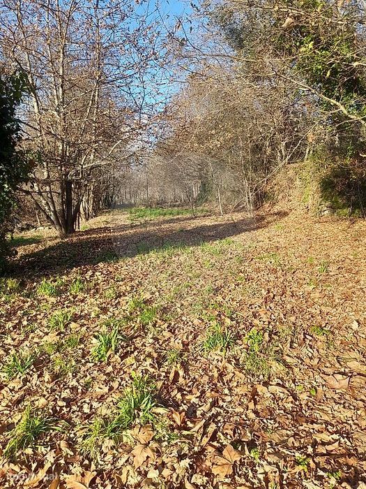 Terreno  para venda