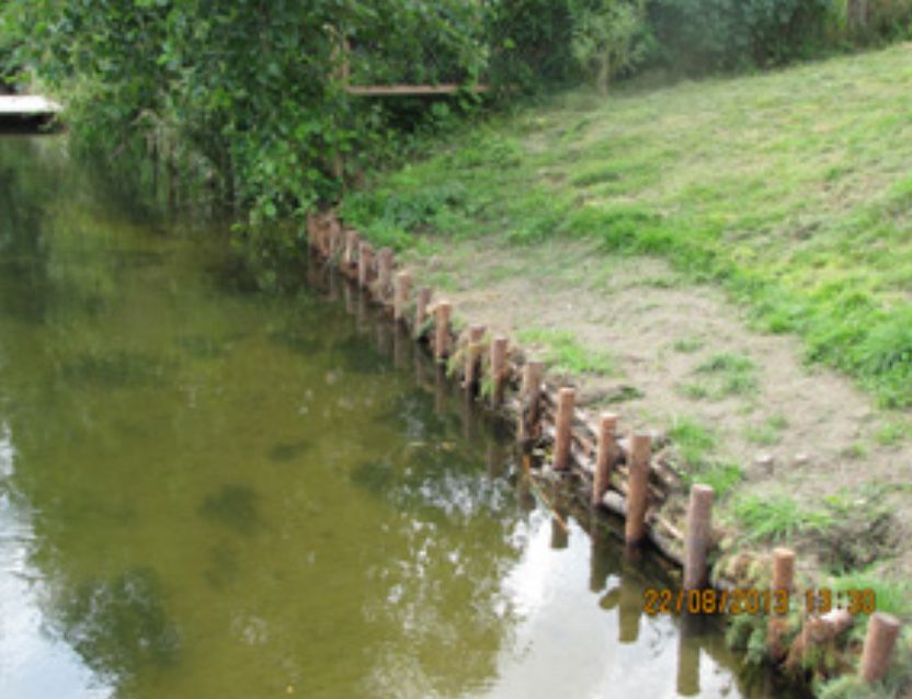 Faszynowanie Kopanie Stawów Umacnianie Brzegów