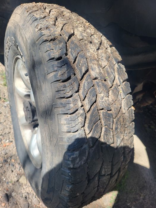 Great Wall Safe 2005