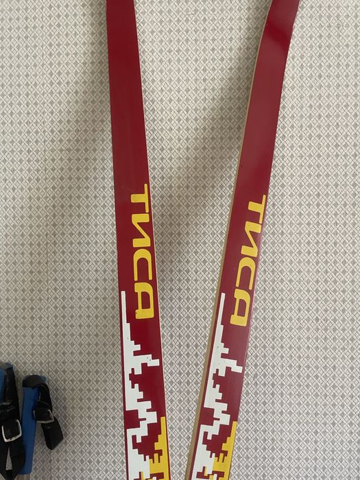 Лижі Тиса з палками