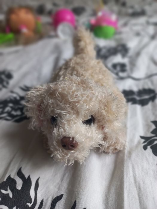 Furreal Friends Newborns Piesek ruchomy
