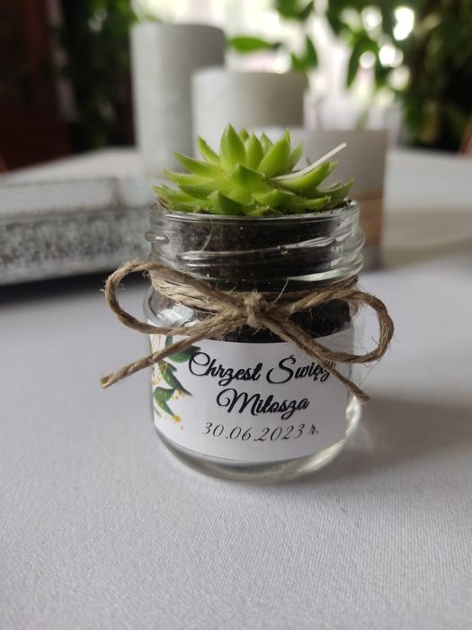 Podziękowanie na Chrzest sukulenty dla gości
