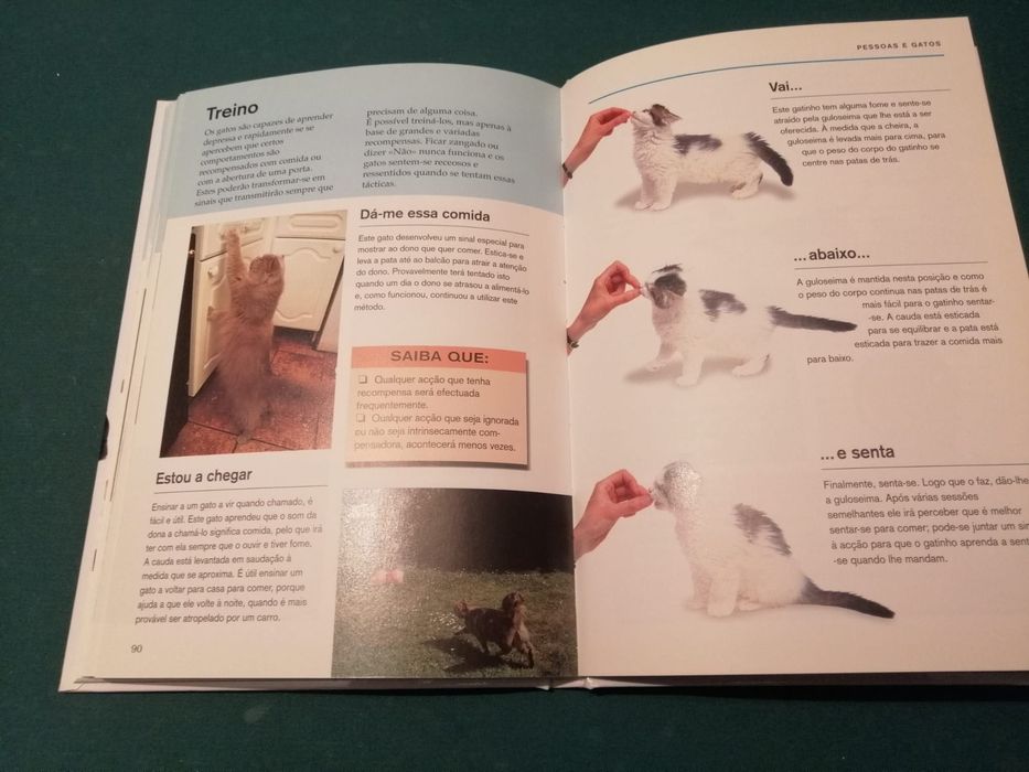 Livro “O Que É Que o Meu Gato Está a Pensar?”