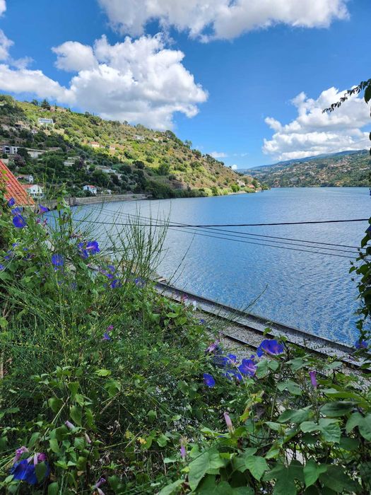 Terreno Urbano, na Margem do Rio Douro, com duas casas para Recuperar - Baião ( Ancede e Ribadouro )