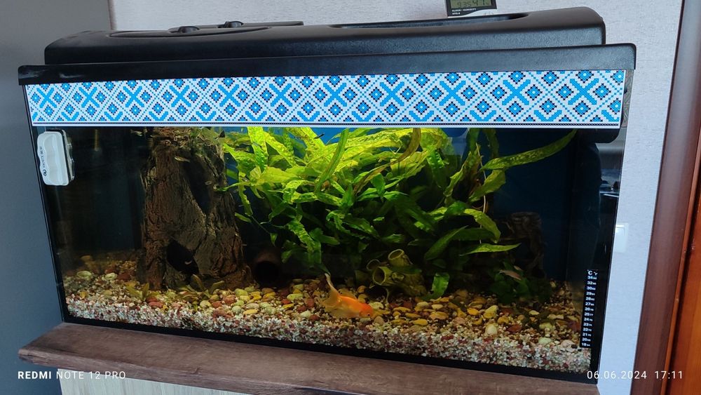 Продам акваріум 280літрів з усім обладнанням і рибками