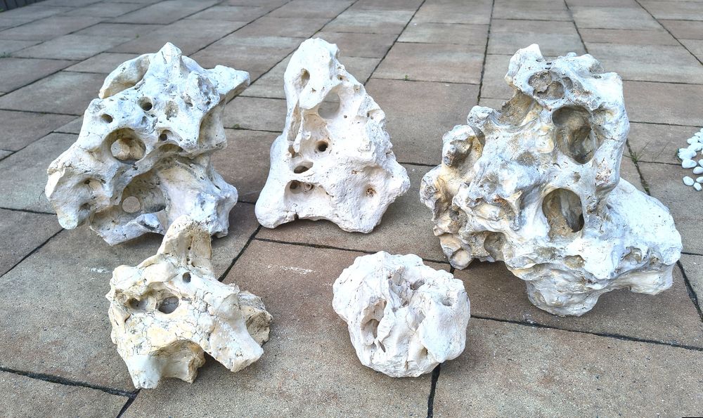 Wapień filipiński, Malawi