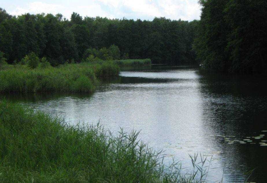 Działki budowlane dobra lokalizacja, atrakcyjna cena - View 4