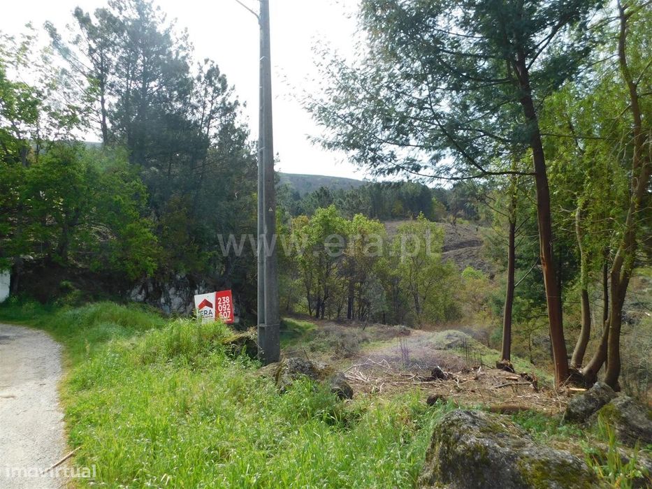 Terreno Urbano / Seia, Seia, São Romão e Lapa dos Dinheiros — Seia, São Romão E Lapa Dos Dinheiros, Guarda