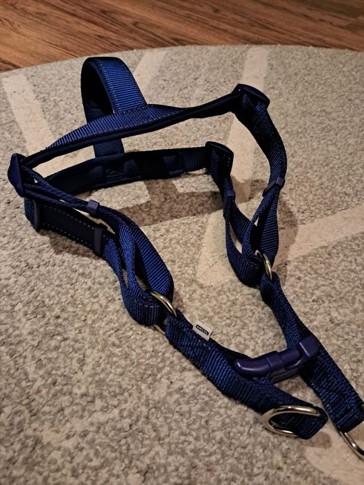 Шлея для собак нова
