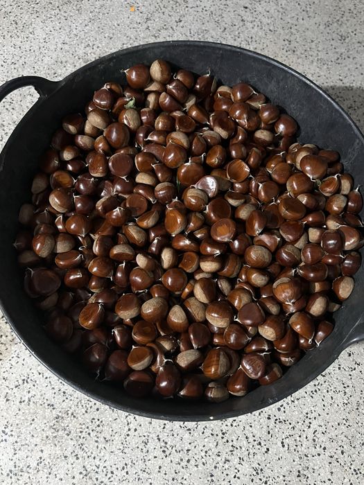 Castanha biologica