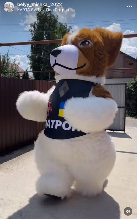 Аниматоры Днепр, белый медведь, Зайчик, Стриптиз, Патрон Пёс, Зайка