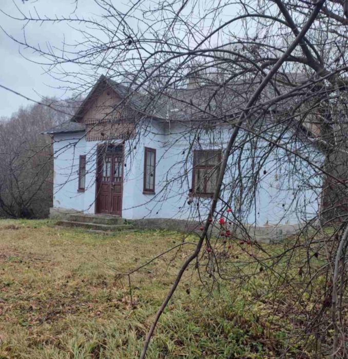 Будинок з земельною ділянкою