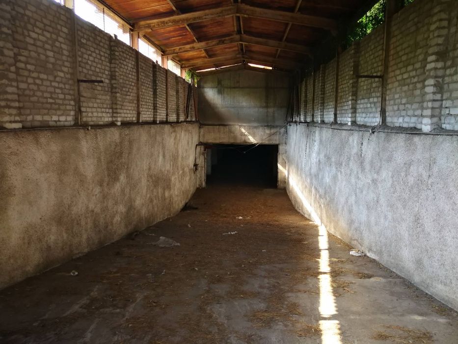 Здам в оренду під склад, офісні та виробничі площі