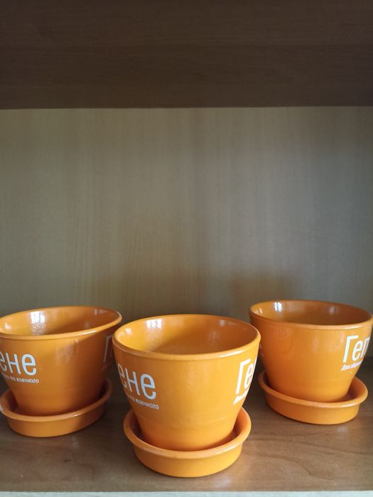 Кашпо горшки для цветов бонсайницы