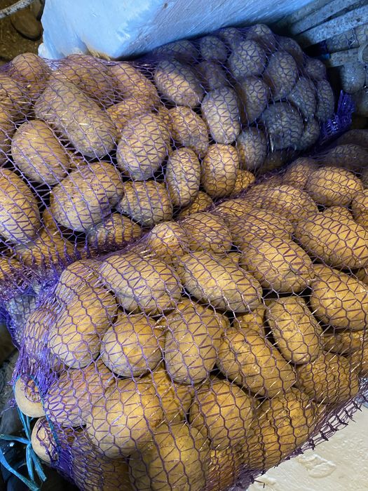 Продам каптоплю , можлива доставка