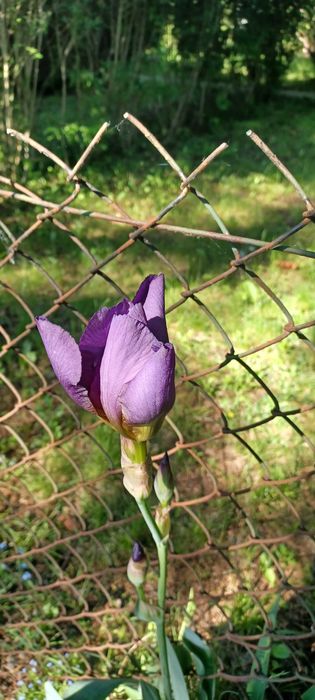 piękna klimatyczna działka rekreacyjna