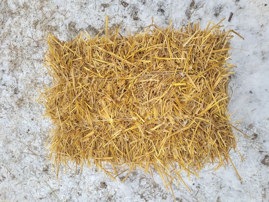 Słoma kostka z tego sezonu