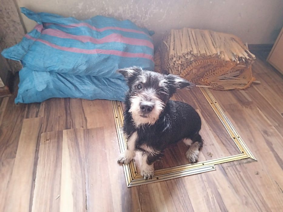 Bombelek – 2 lata czekania na cud.