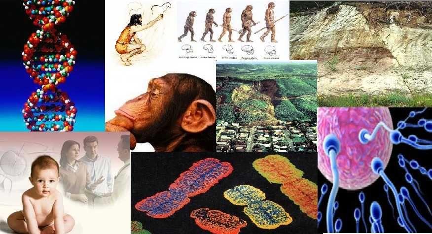 Explicações de Biologia e Geologia  online