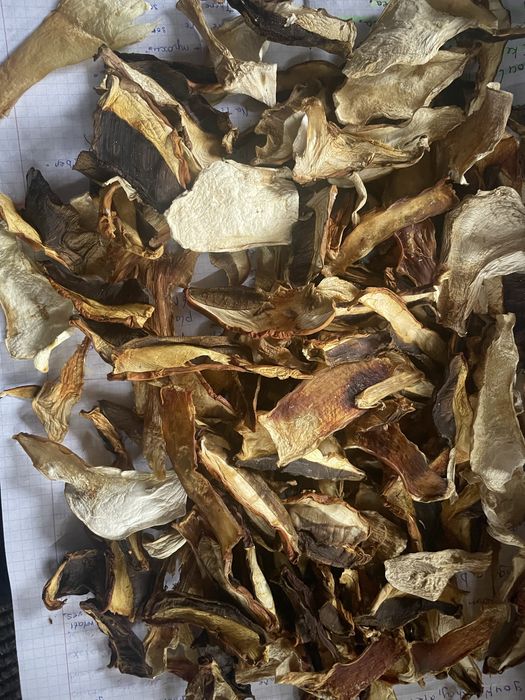 Сушені Карпатські білі гриби , чисті!