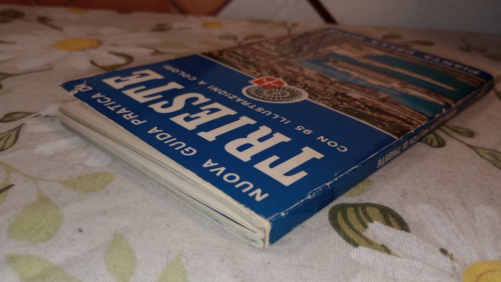 Trieste. Nuova Guida Pratica di 95 illustrazioni..