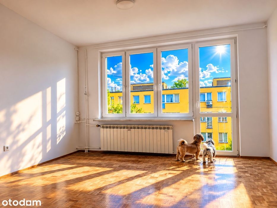 Przytulne M4 w zielonym Brwinowie, bez prowizji od Kupującego