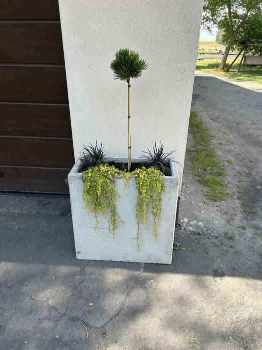 Donica betonowa 70x35x70