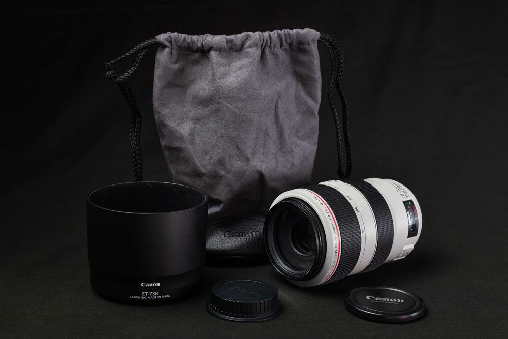 Canon EF 70-300mm f4-5.6L IS USM