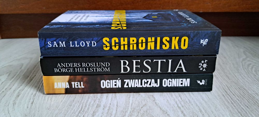Sam Lloyd Schronisko  Roslund Bestia  Anna Tell Ogień zwalczaj ogniem