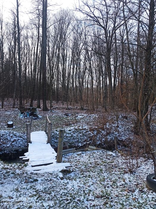 Продам дачу біля лісу