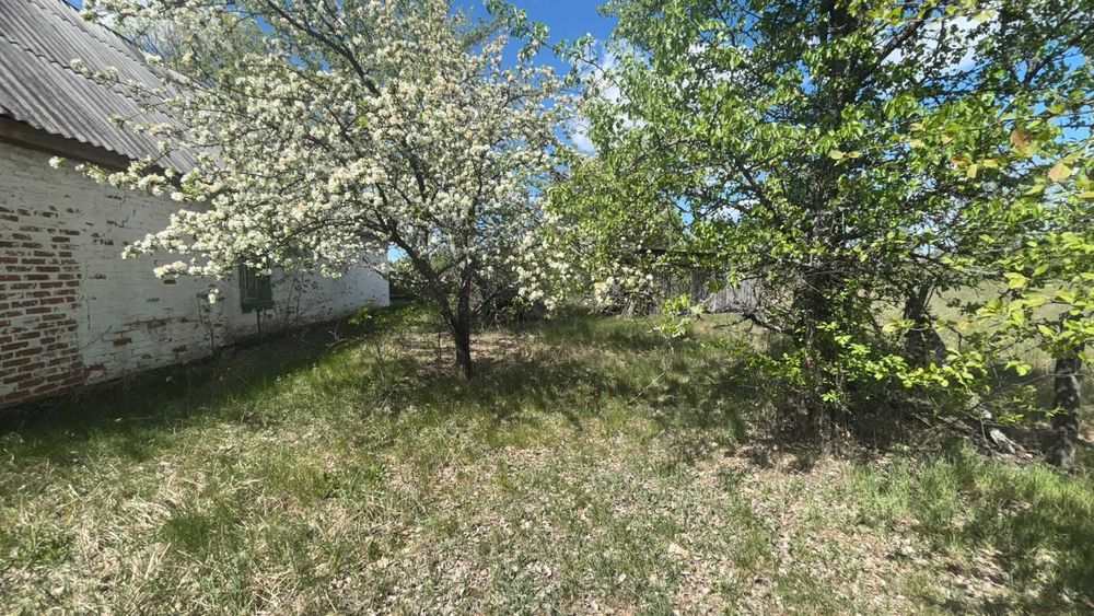 Продаж будинку,  село Шпилі,