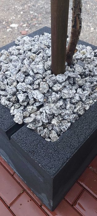 Grys granitowy dalmatyńczyk