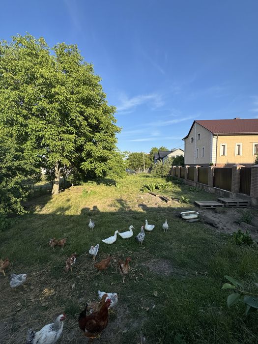 Продається земля під будівницьтво