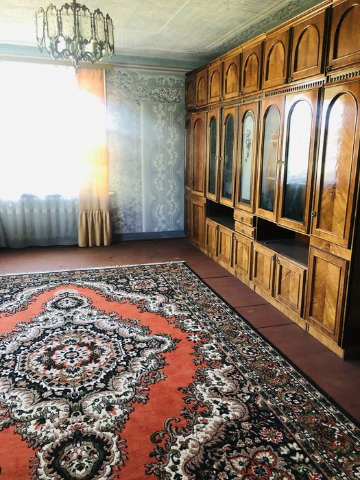 Продам будинок в с.Олешків