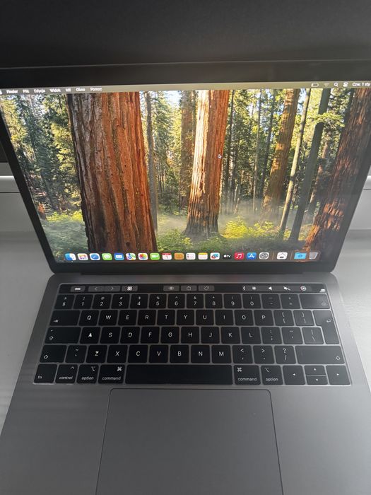 Macbook Pro 2018/19 A1989 i5 256/8 sprawny