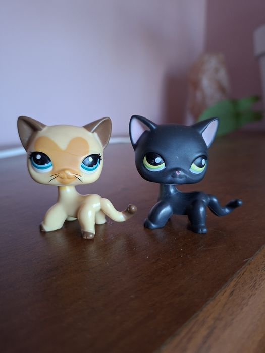 Lps pet shop zestaw kotki