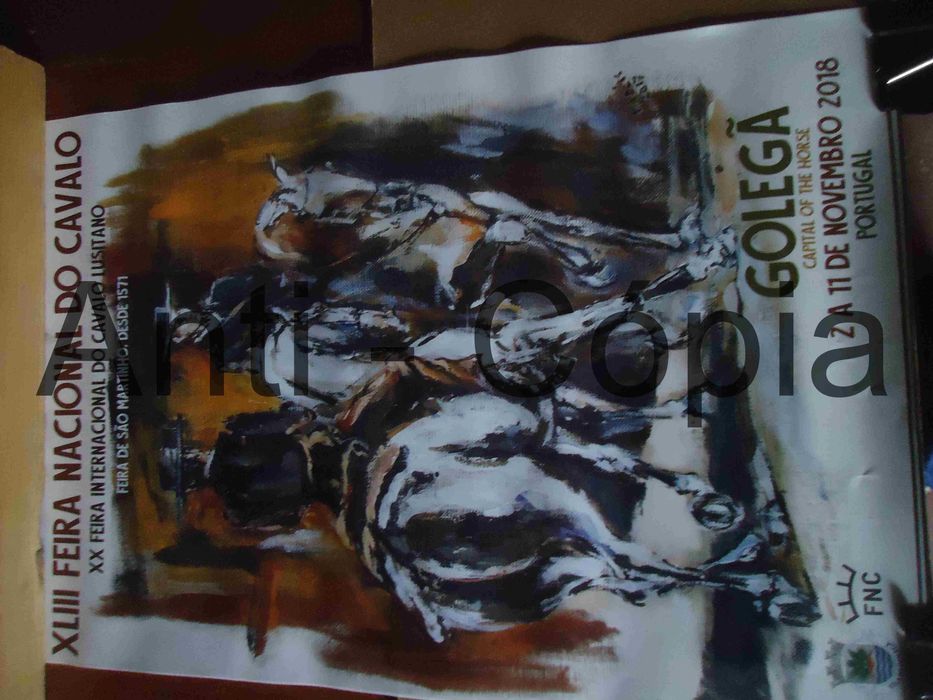 Cartazes de S. Martinho 30 x 45 aprox.